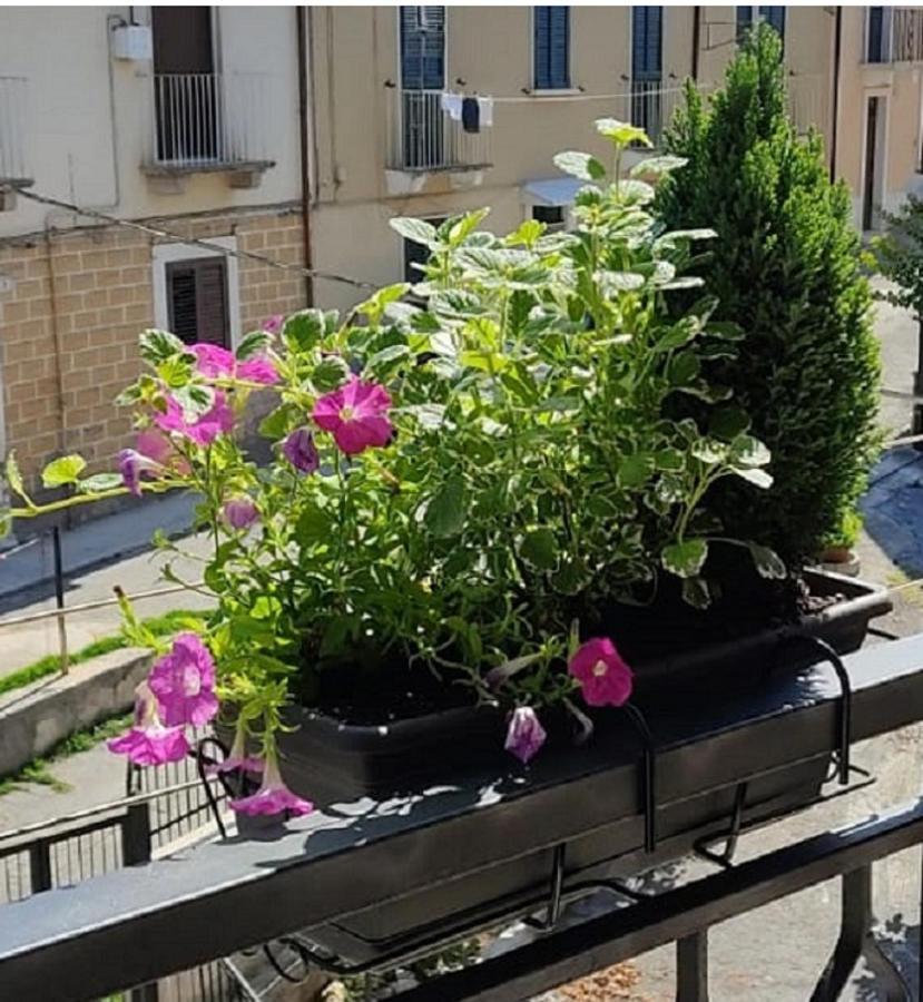 B&B Residence Armonia Sulmona Exterior foto